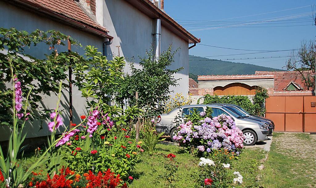 Pensiunea Bendorfeanu Răşinari エクステリア 写真