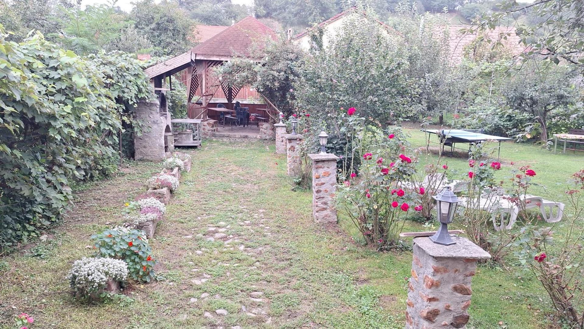 Pensiunea Bendorfeanu Răşinari エクステリア 写真